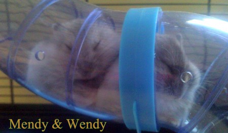 Mandy&Wandy.com